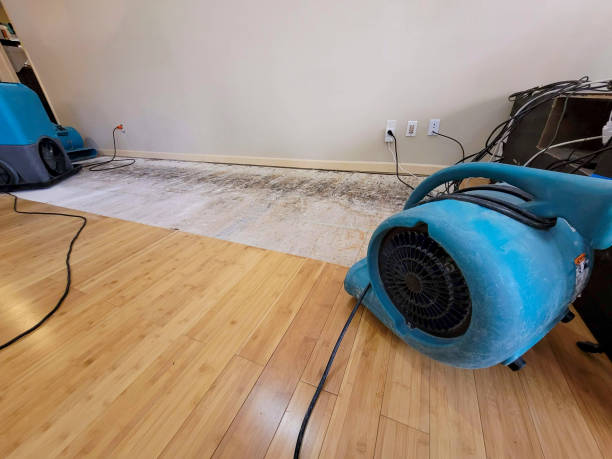 Professional Water Removal technician working in Mexico, MO